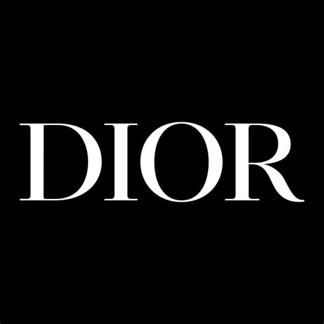 dior company profile|dior company background.